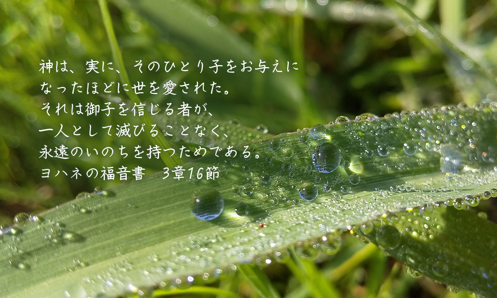 神は、実に、そのひとり子をお与えになったほどに世を愛された。それは御子を信じる者が、一人として滅びることなく、永遠のいのちを持つためである。　ヨハネの福音書　3章16節