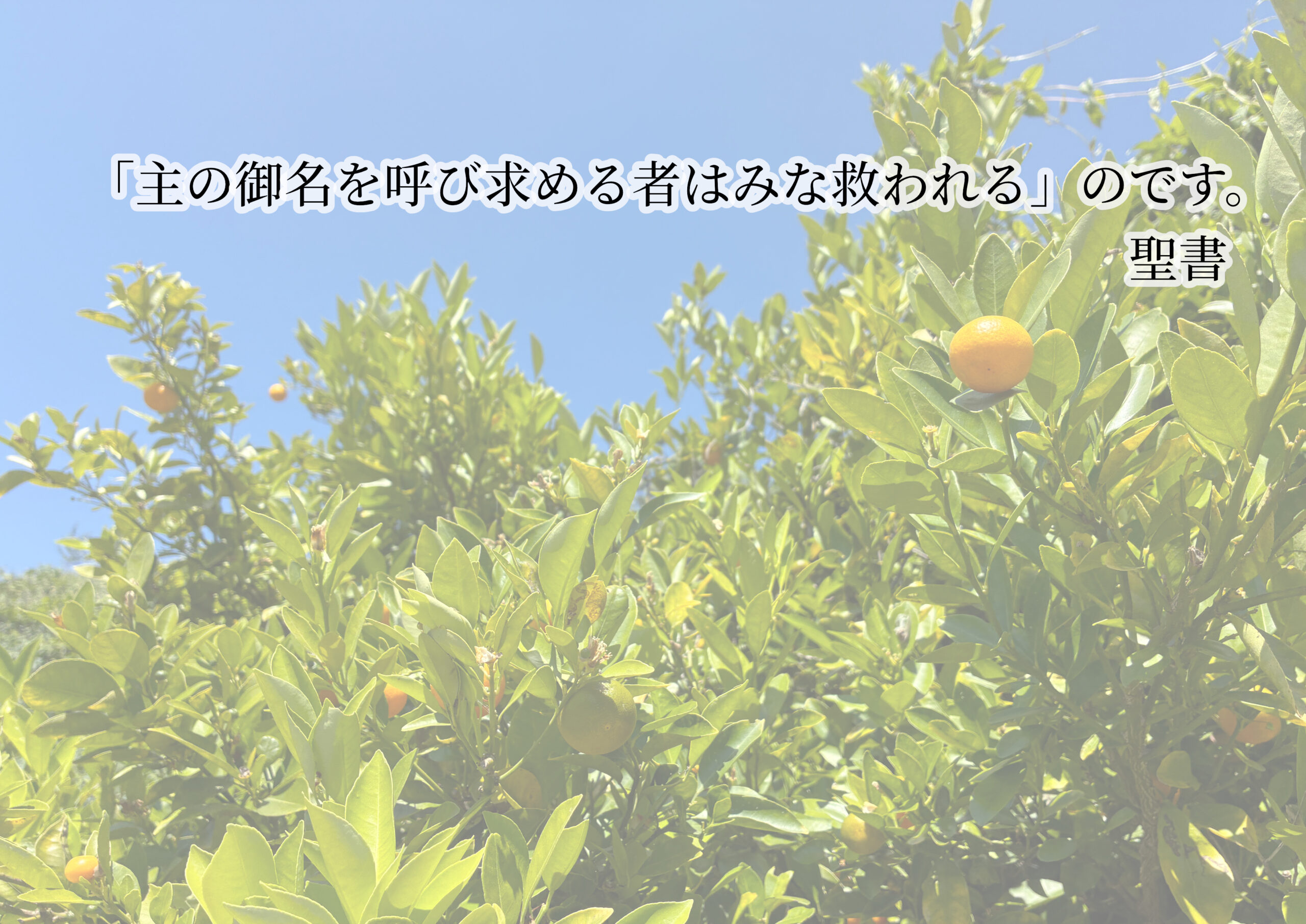水口キリスト恵み教会